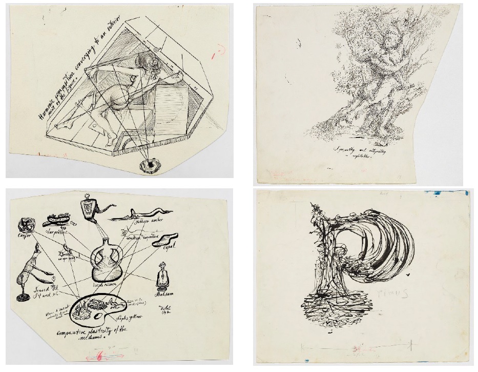 La Fundació Gala-Salvador Dalí anuncia l’adquisició de 22 il·lustracions del llibre \'50 secrets màgics per a pintar\'