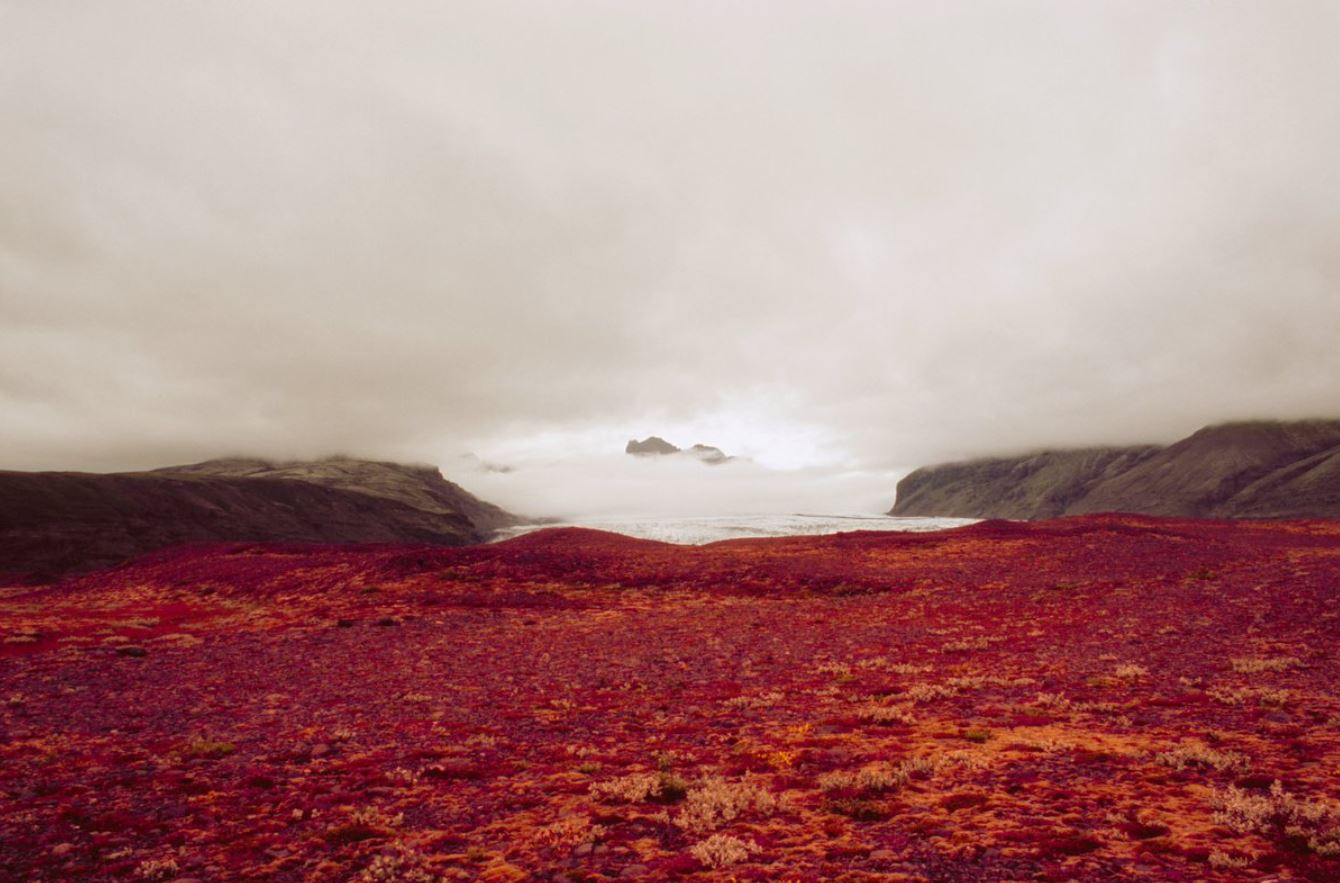 'O son do mar' by Mayte Vieta at the CGAC