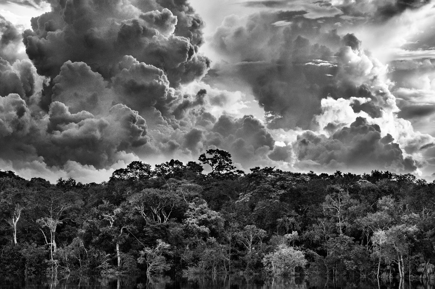 Sebastiao Salgado: Amazonia